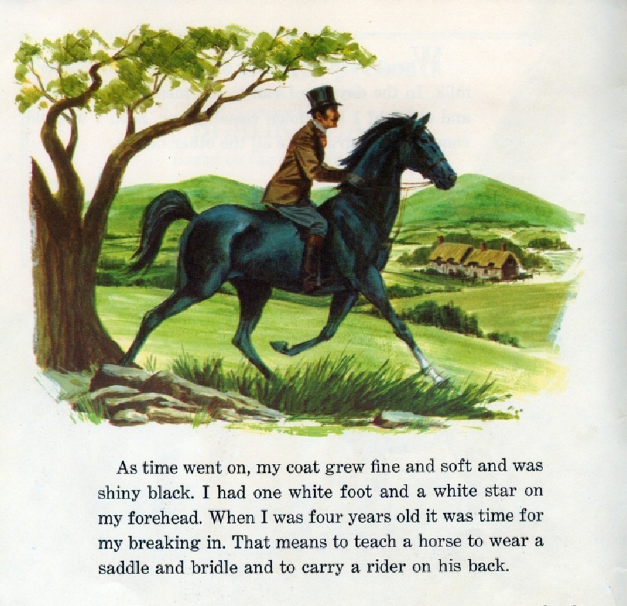 Black Beauty (04),绘本,绘本故事,绘本阅读,故事书,童书,图画书,课外阅读